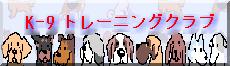 k9　トレーニングクラブ
