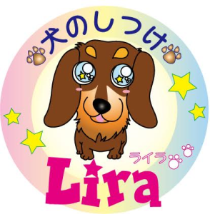 犬のしつけ　Lira(ライラ)
